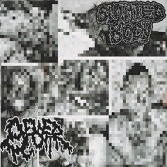 BLOATED BODY X SEWER CUNT SPLIT (BOTH SIDES)