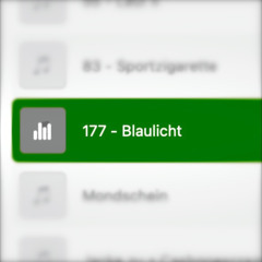 177 - Blaulicht (2021)