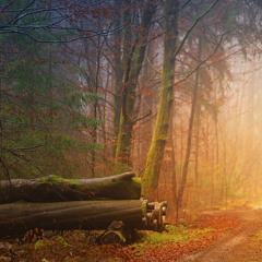 October (2024) Anthology CD2 Track 14