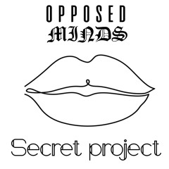 Secret Project (Extended Version)