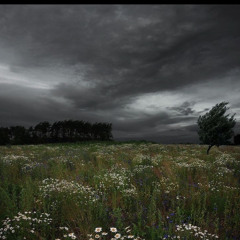 مّـعْـاد بـِدّري☆