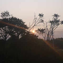 Gonebliss (Prod_By; RZHK)