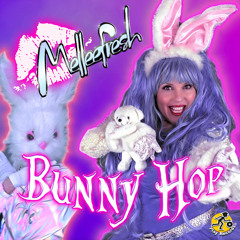 Melleefresh / Bunny Hop (Hectic Remix)