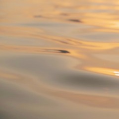 Wind Quintet, First Movement