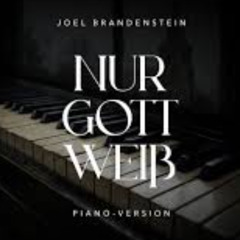 Joel Brandenstein - Nur Gott Weiß ( eMyAeDs Edit )