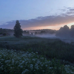 бутылка водки 19.12