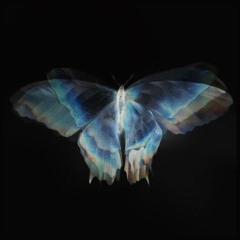 Tere Bin (Maya's Binary Butterfly Edit)