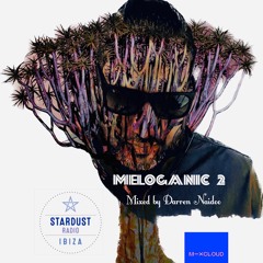 MELOGANIC SET 2 BROADCASTED FOR IBIZA STARDUST RADIO 16 FEB 2023