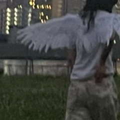 крылья (wayza)