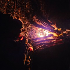 wavecult Imbolc festival 2024