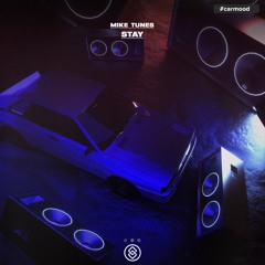 Mike Tunes - Stay