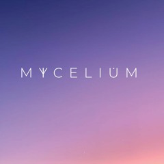SimplyNice - Mycelium Festival - Brunch Set - 07/30/22