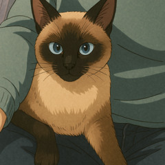 Miguel Quitério live secret spot (Dj Set 01)