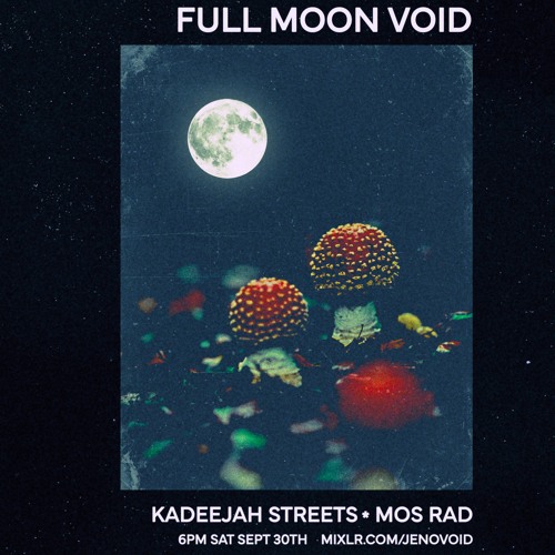 Kadeejah Streets in the VOID - Sept 2023