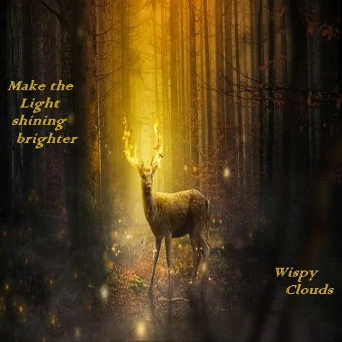 Make The Light...