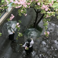 Mosquito - PinkPantheress (sped up)