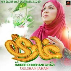 Haider Di Nishani Ghazi Ae | Gulshan Jahan | 2024 | New Qasida Mola Abbas As