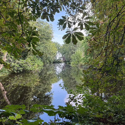 Symphony of the Forest - I. Whispers Among the Trees