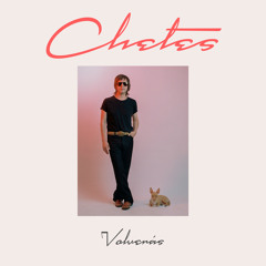 Volverás (feat. Calexico)
