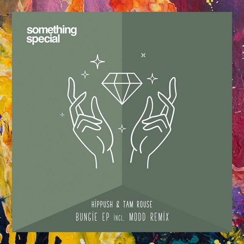 PREMIERE: Hippush & Tam Rouse — Hawk (Original Mix) [Something Special]