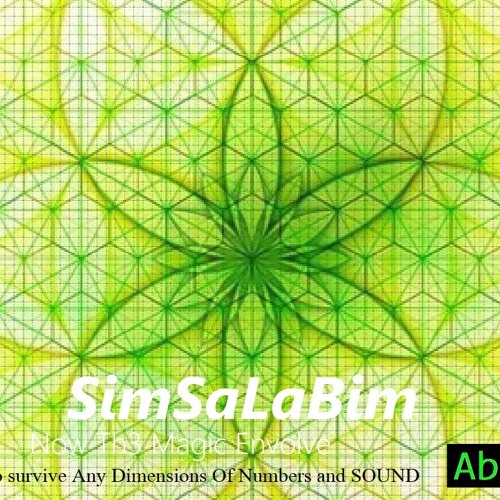 SimSaLabim (iNSTRUMENTAL)