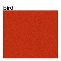 bird