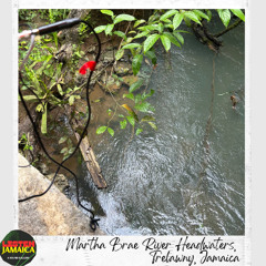 Birds, River, and Thunderstorm at Martha Brae Headwaters, Trelawny, Jamaica LJP June 2025