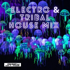 Live From The Living Room Phx -  Electro & Tribal House Mix