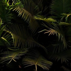 Jungle Speed (+33 SET)