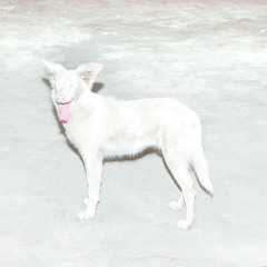 Malandra