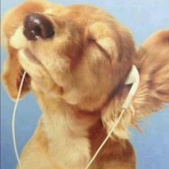 стало похуу)