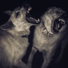 PHARAOH - Зачем ты это слушаешь, выключи (Slowed & Reverb)