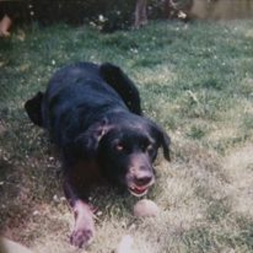 Smooth Jam With Friends