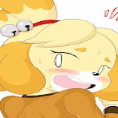 happy birthday isabelle