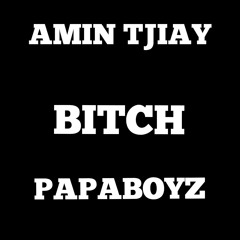 amin tijay X papaboyz- bitch