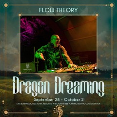 Flow Theory @ Dragon Dreaming Festival 2023