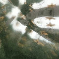 lightbeam w/ deepviolet