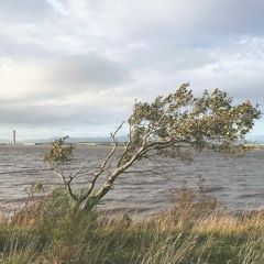 Another Pretty One In A Funny Tuning