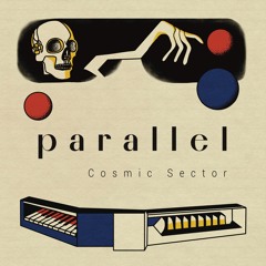 Cosmic Sector