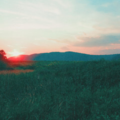 PopCorn_for_Digital_sheep