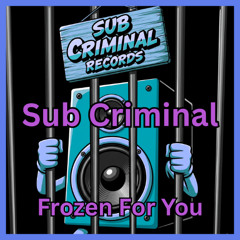 Sub Criminal - Frozen For You
