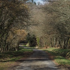 Country Walk