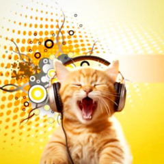 icedly Live @ KICKCLUB 2025 (set 1 & 2)