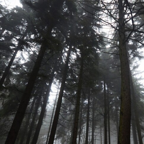 yung and phresh [speed up]