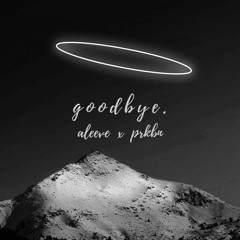 goodbye (aleeve x prkbn)