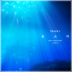 [데못죽] 테스타 (TeSTAR) 선아현 - 숨소리 | 중세토끼