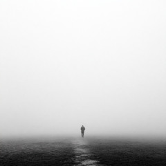 Through The Fog