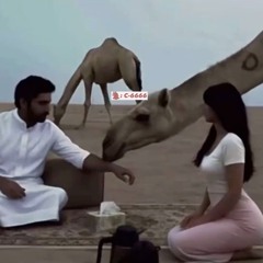 ياريت انا وانتي واثنينا بسفينة - جبل معربا داوود ⁩العبدالله