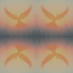 Synced Bliss Edge #803