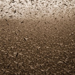 Swarm Remix Submission